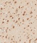 STAT1 Antibody (C-term)